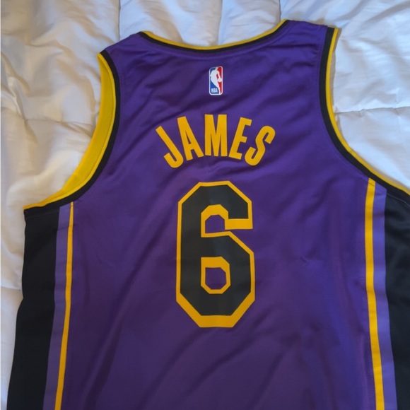 NBA Other - LeBron James Jersey #6.